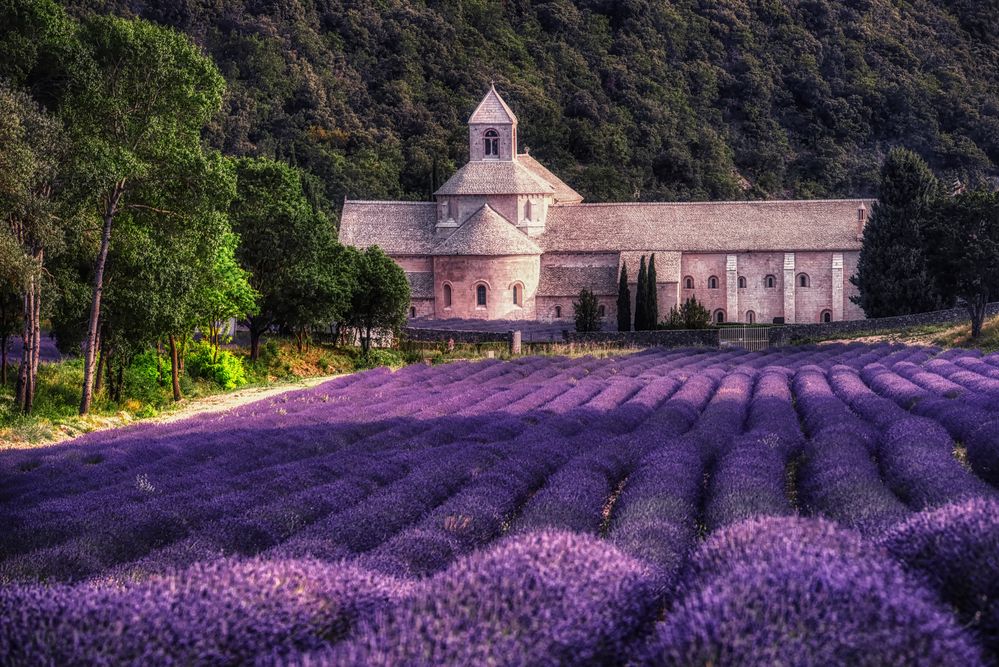 Abbaye Notre-Dame de Sénanque