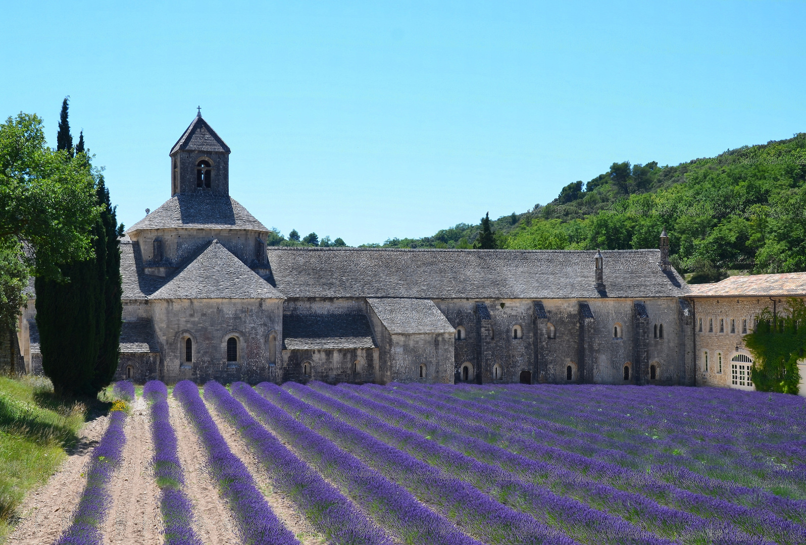 Abbaye Notre-Dame de Sénanque