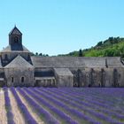 Abbaye Notre-Dame de Sénanque