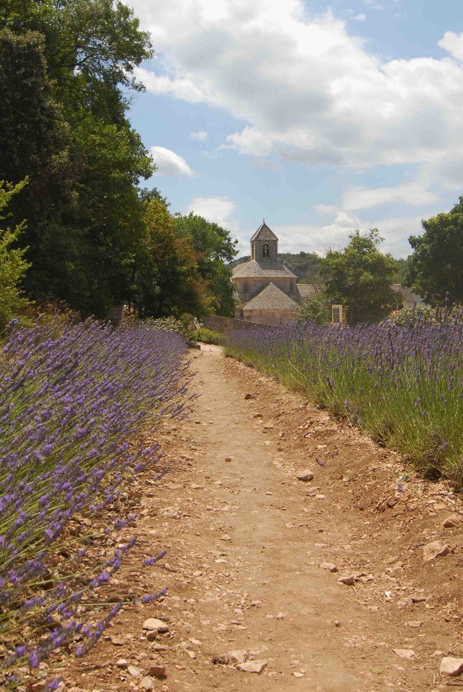 Abbaye Notre-Dame de Sénanque