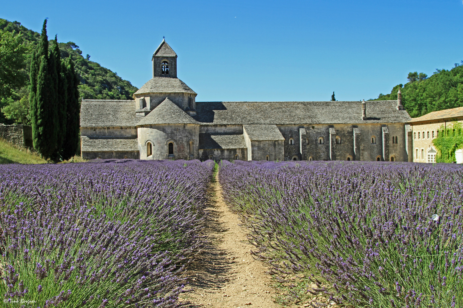 Abbaye Notre-Dame de Sénanque