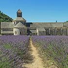 Abbaye Notre-Dame de Sénanque