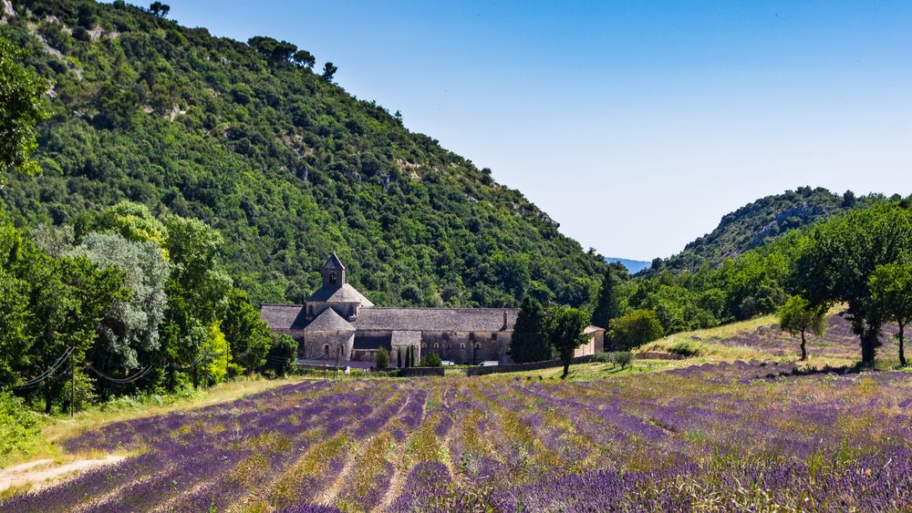 Abbaye Notre-Dame de Sénanque