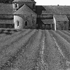 Abbaye Notre-Dame de Sénanque