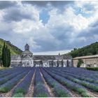 Abbaye Notre-Dame de Sénanque