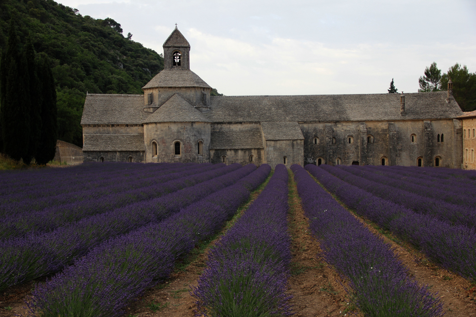 Abbaye Notre-Dame de Sénanque