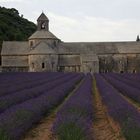 Abbaye Notre-Dame de Sénanque