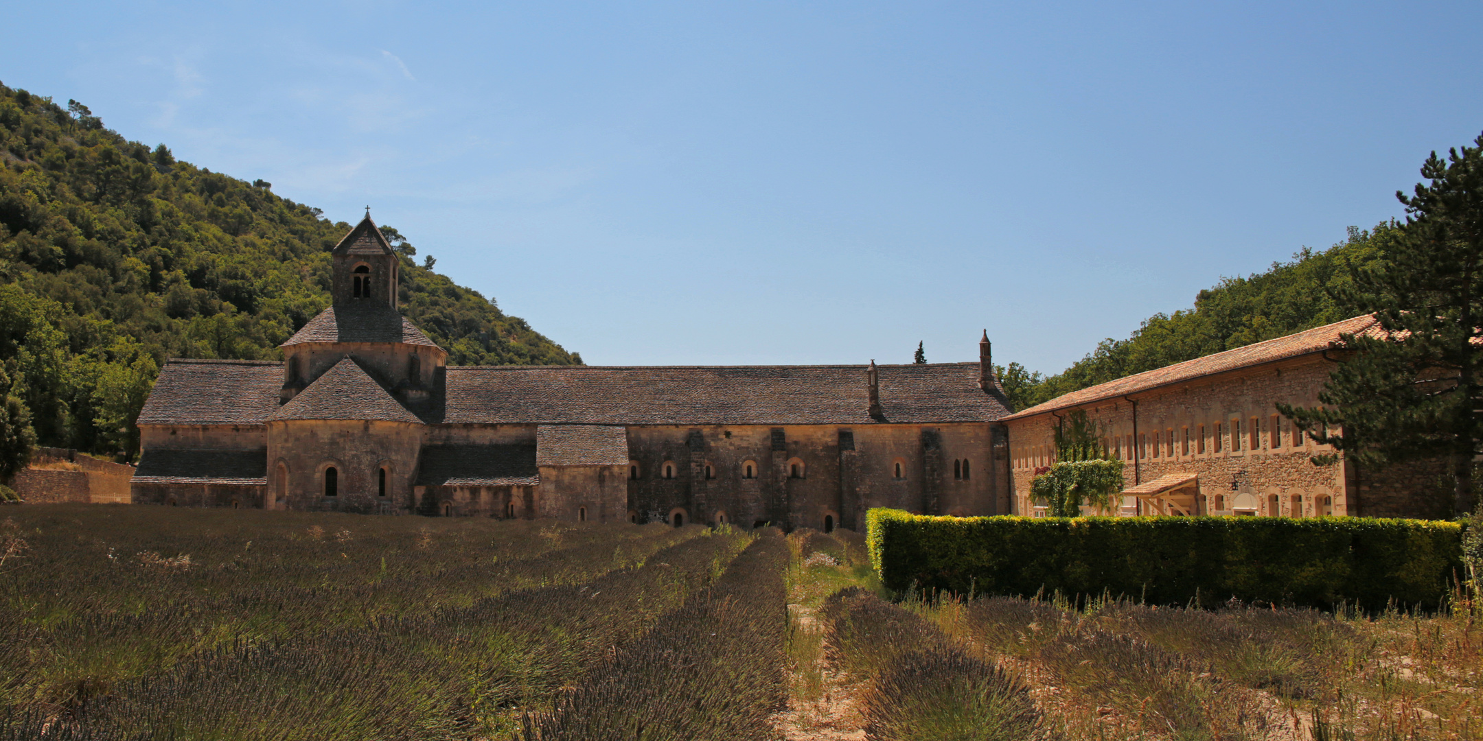 Abbaye Notre-Dame de Sénanque