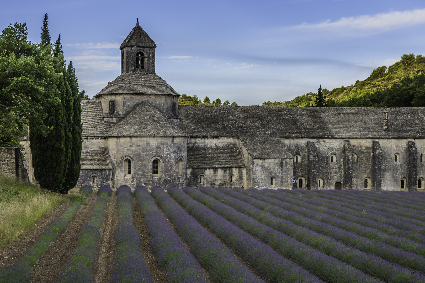 Abbaye Notre-Dame de Sénanque - I