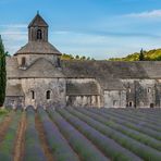 Abbaye Notre-Dame de Sénanque - I