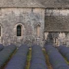 Abbaye Notre-Dame de Sénanque - II