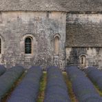 Abbaye Notre-Dame de Sénanque - II