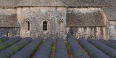 Abbaye Notre-Dame de Sénanque - II