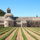 Abbaye Notre-Dame de Senaque