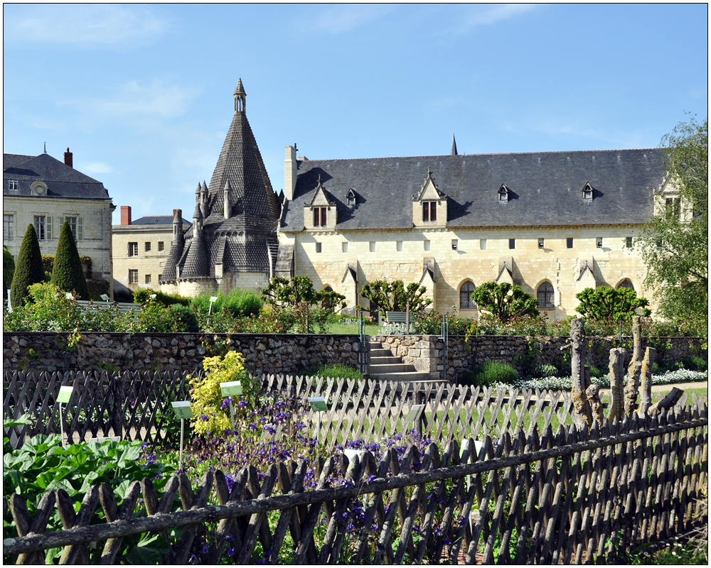 Abbaye Royale de Fontevraud IX