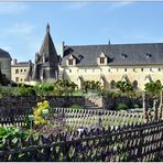 Abbaye Royale de Fontevraud IX