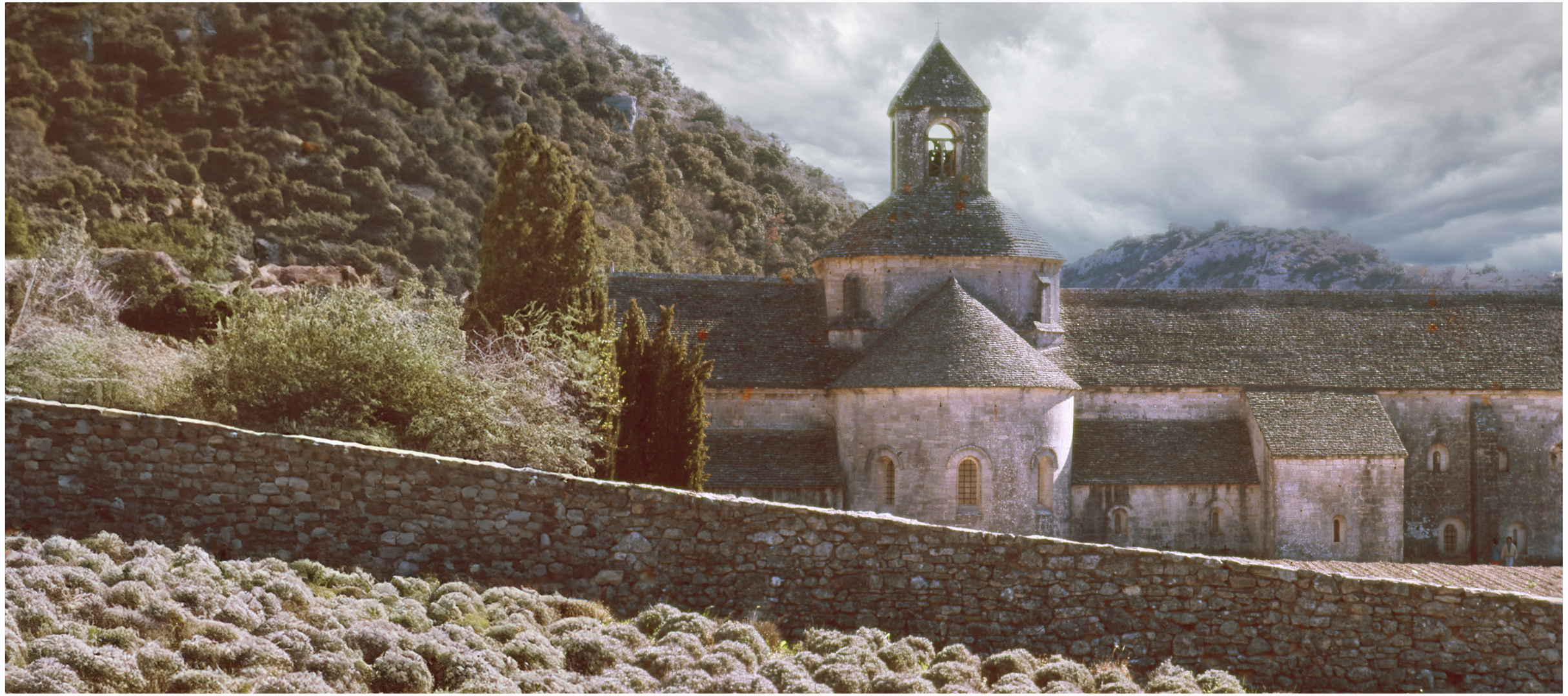 Abbaye Sénanque 