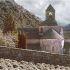 Abbaye Sénanque 
