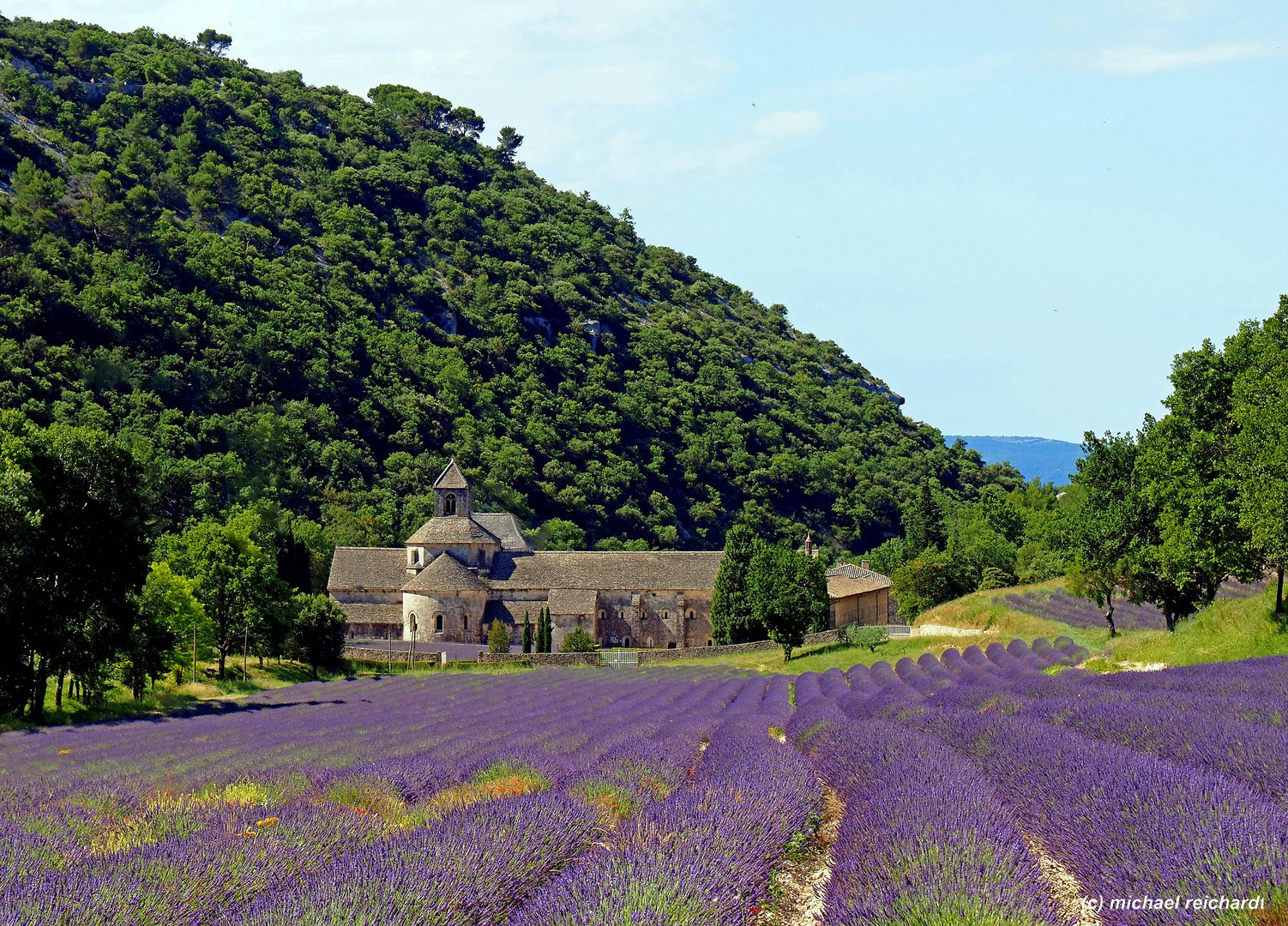 Abbaye Senanque Provence