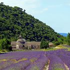 Abbaye Senanque Provence