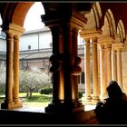 Abbazia di Chiaravalle..particolare del chiostro 1