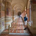 Abbazia di Monte Oliveto Maggiore - Freskengalerie - Toskana