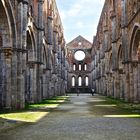 Abbazia di San Galgano 3