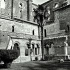 Abbazia di San Galgano 4