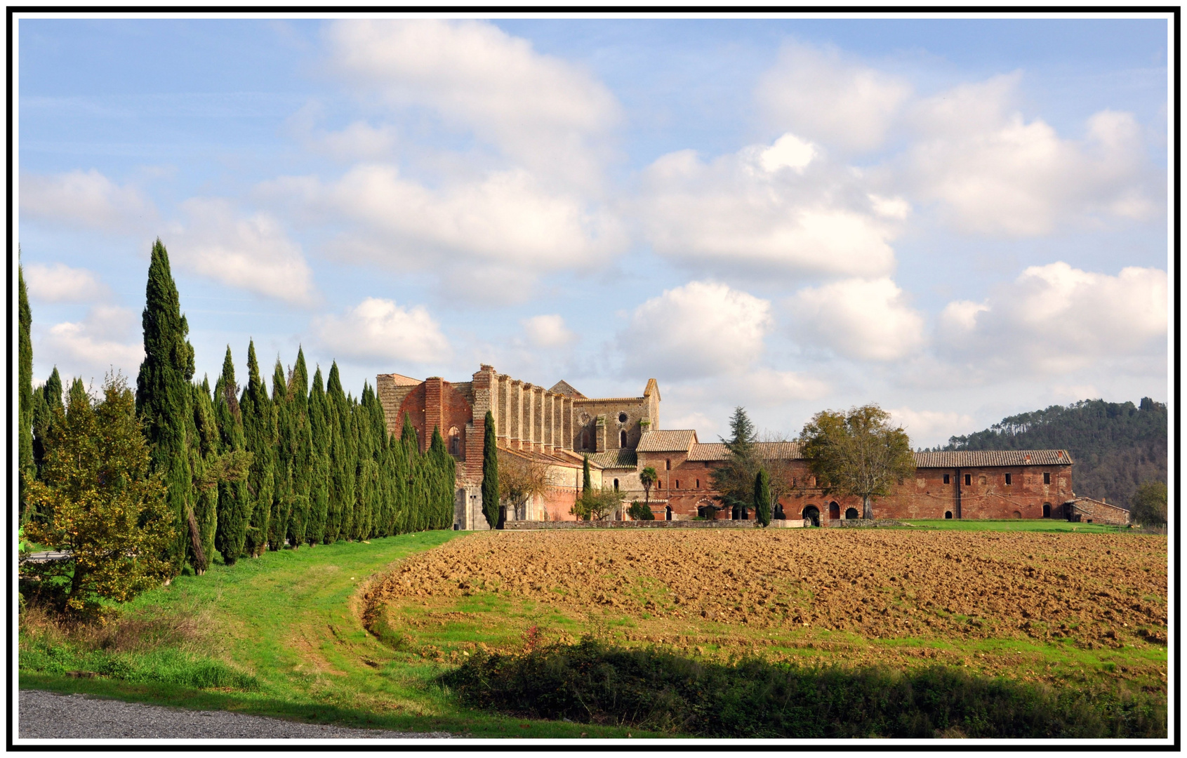 Abbazia di San Galgano 5