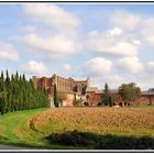 Abbazia di San Galgano 5