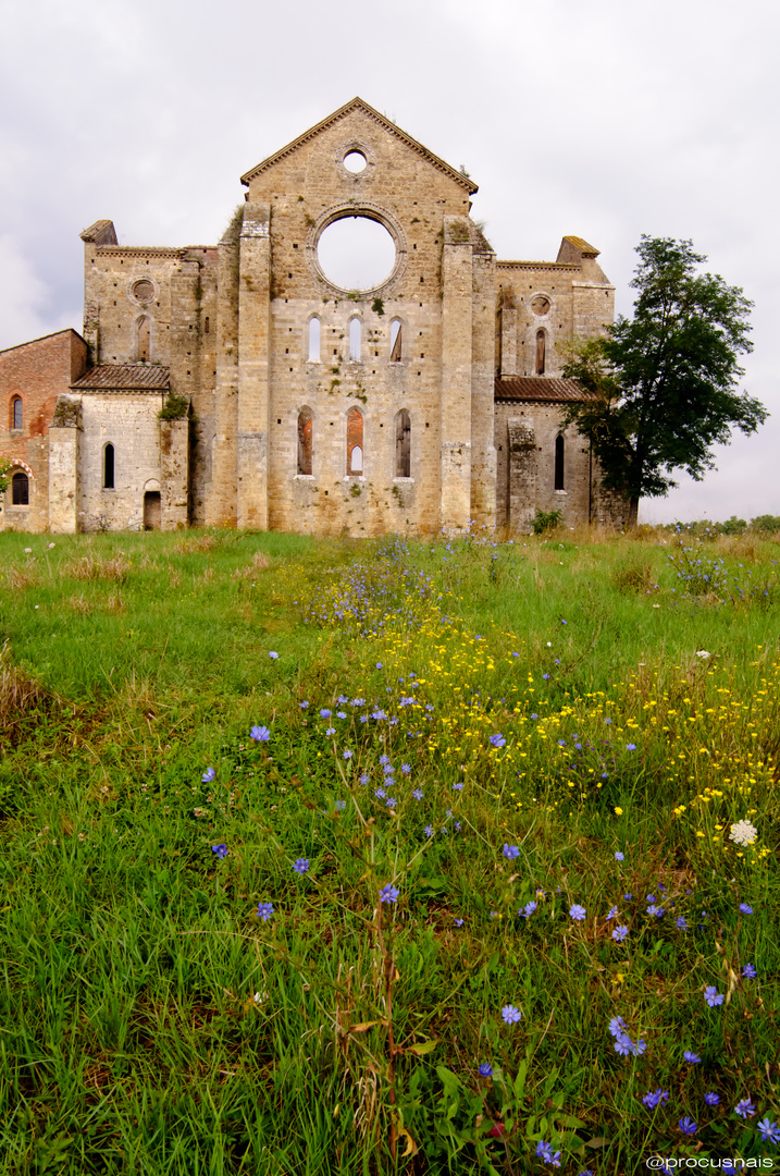 Abbazia di San Galgano