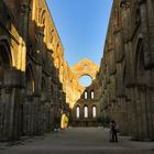 Abbazia di San Galgano (Si)