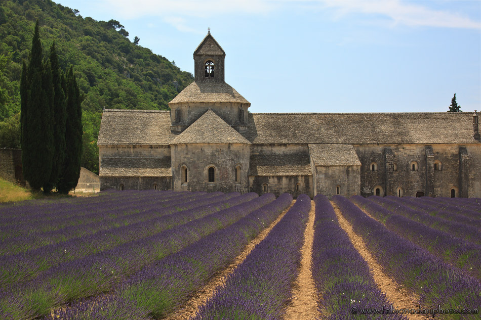 Abbazia di Senanque