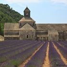 Abbazia di Senanque