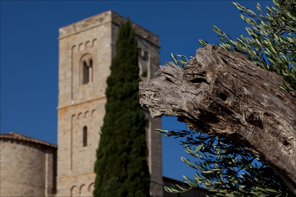 Abbazia die Sant' Antimo