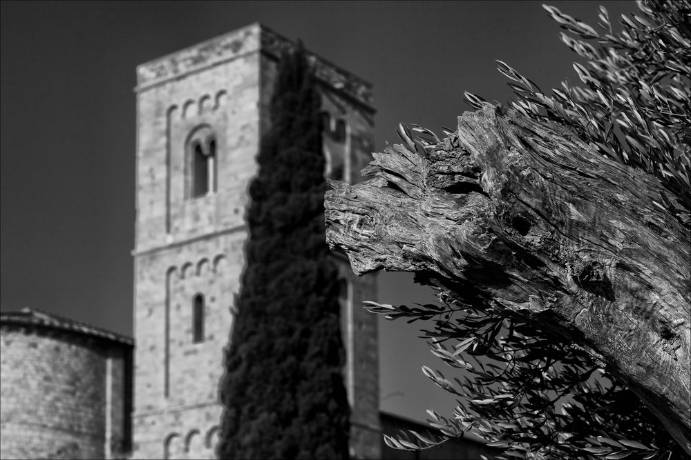 Abbazia die Sant' Antimo - S/W