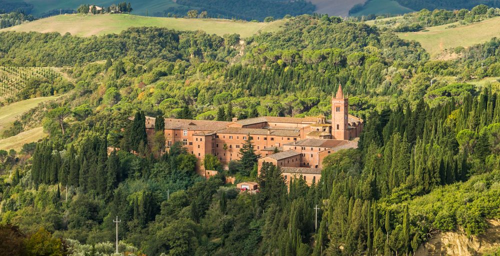 Abbazia Monte Oliveto Maggiore Foto & Bild italy, world, wald Bilder auf