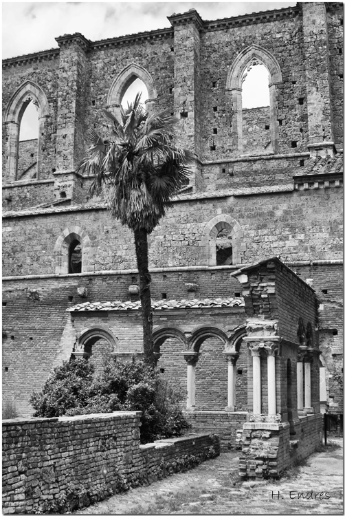 Abbazia San Galgano II