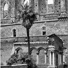 Abbazia San Galgano II