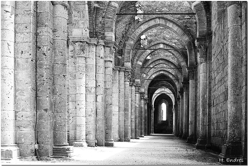 Abbazia San Galgano III