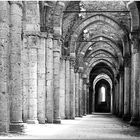 Abbazia San Galgano III