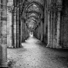 Abbazia San Galgano (iV)