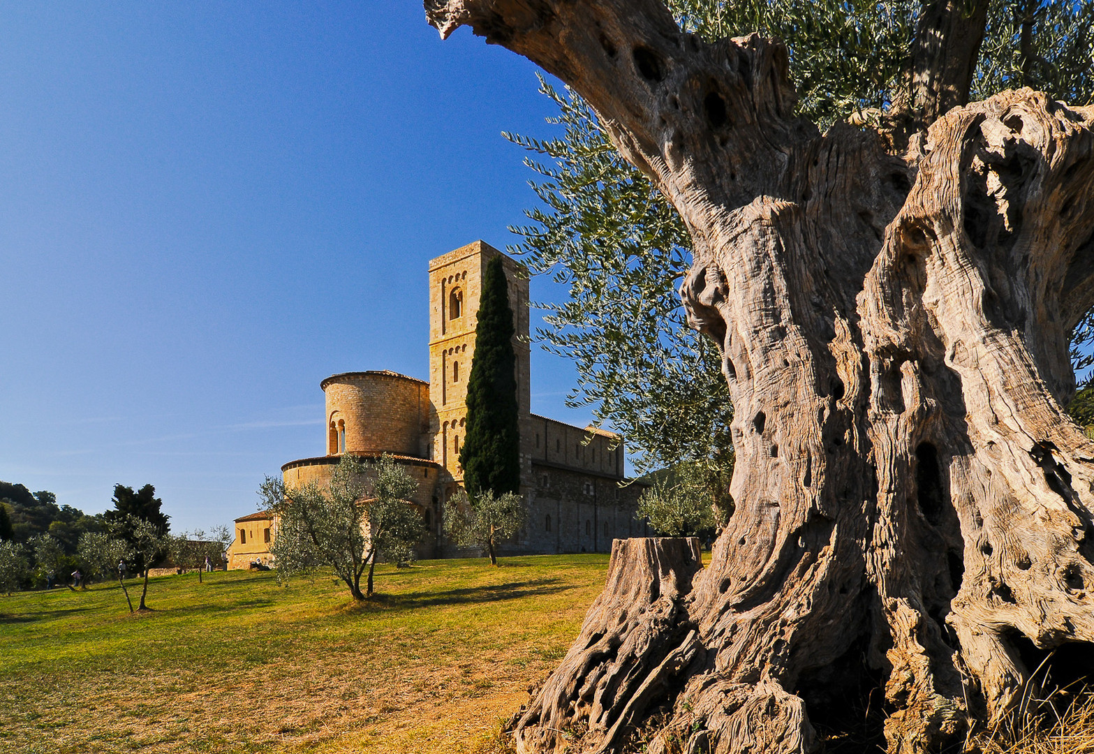 Abbazia Sant'Antimo