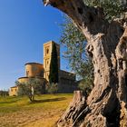 Abbazia Sant'Antimo