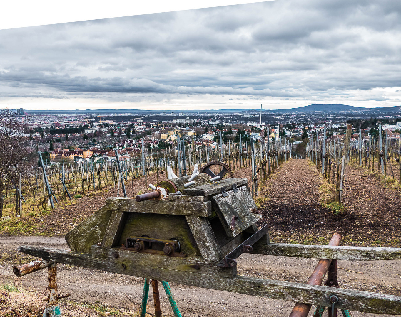 Abbeergerät im Weingarten