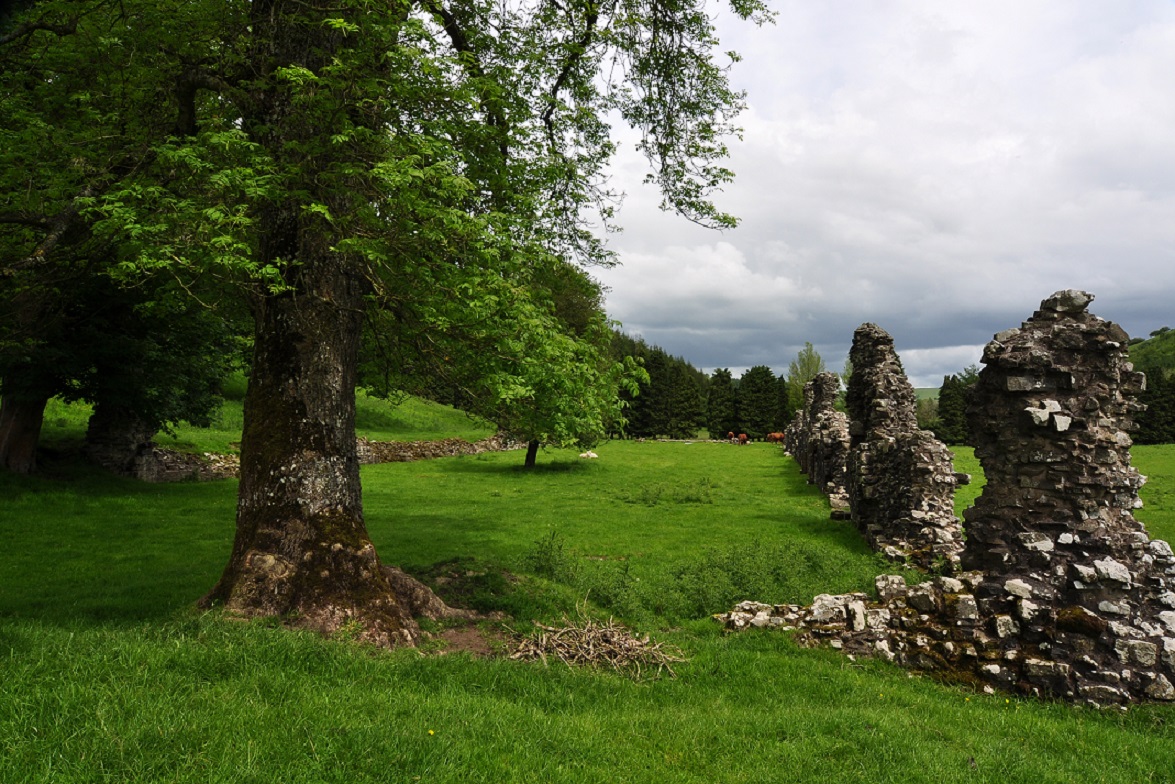 Abbey Cwm Hir