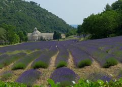 Abbey de Senanque