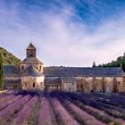 Abbey of Senanque