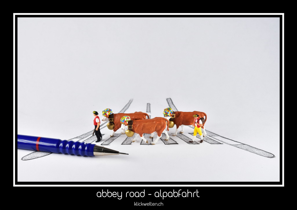 abbey road - alpabfahrt