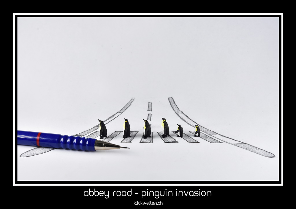 abbey road - pinguin invasion